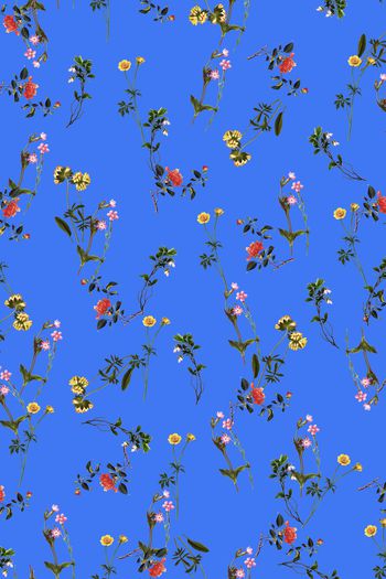 908910-FLZ17-8-22.......