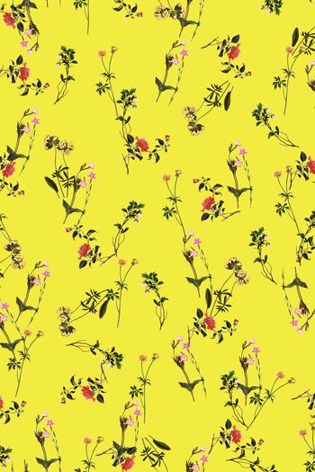 908911-FLZ17-8-22......