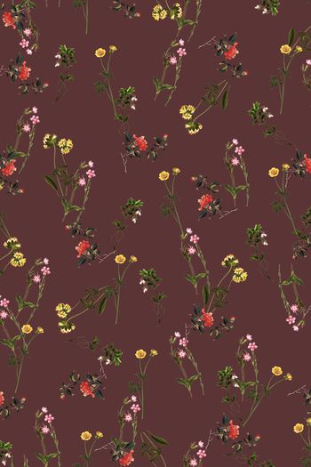 908913-FLZ17-8-22....