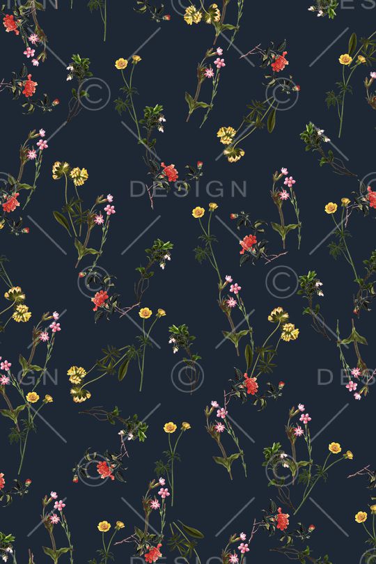 女装印花华亿平台图片