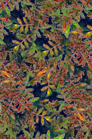 绿植树叶印花华亿平台图片