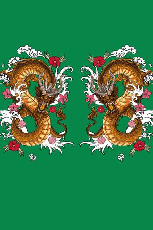 龙印花华亿平台图片