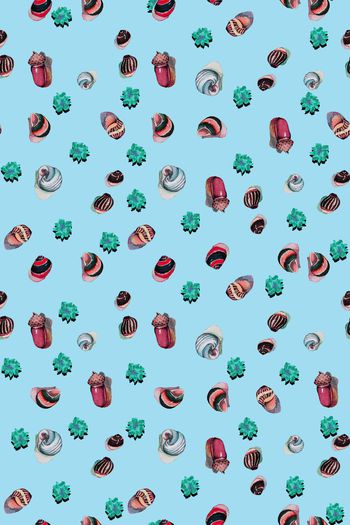 909176-贝壳花朵沙滩