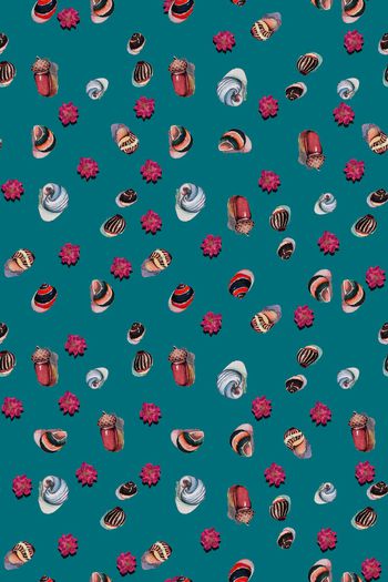 909179-贝壳花朵沙滩