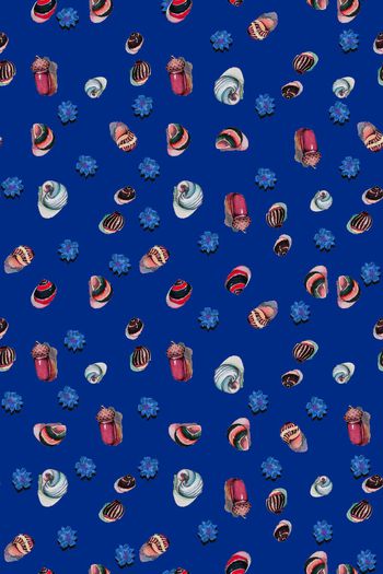 909181-贝壳花朵沙滩蓝