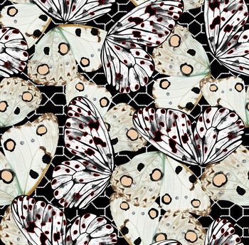 蝴蝶印花华亿平台图片