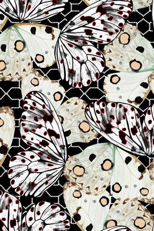 蝴蝶印花华亿平台图片