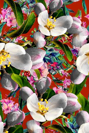 植物印花华亿平台图片