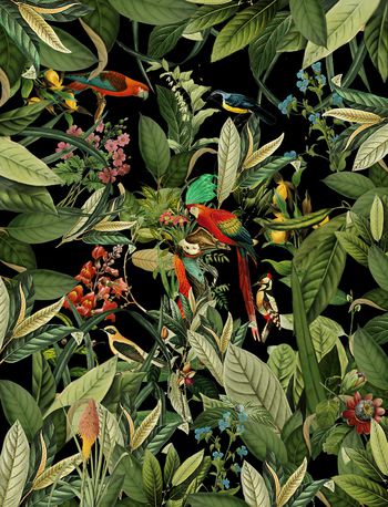 植物印花华亿平台图片