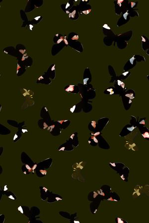 昆虫印花华亿平台图片