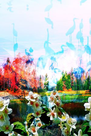 数码华亿平台印花华亿平台图片