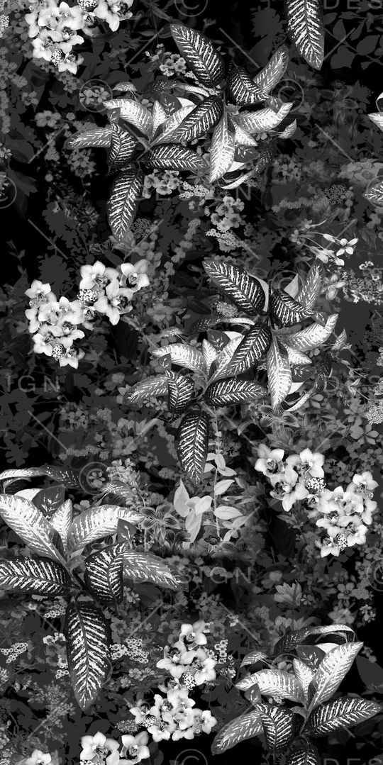 黑白印花华亿平台图片