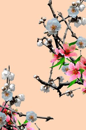 植物印花华亿平台图片