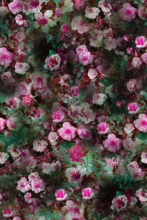 彩底花卉印花华亿平台图片