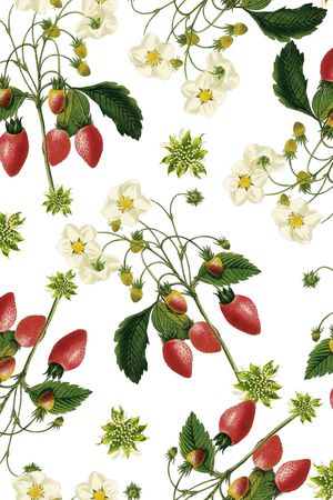 手绘花卉印花华亿平台图片