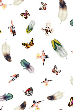 羽毛印花华亿平台图片