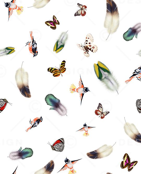 羽毛印花华亿平台图片