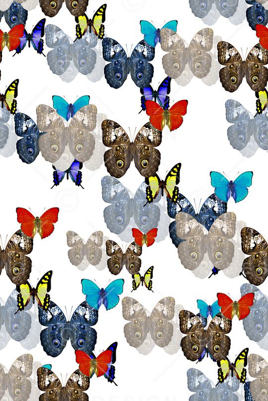 春夏华亿平台印花华亿平台图片