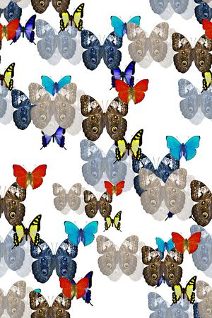 春夏华亿平台印花华亿平台图片