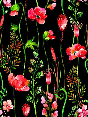 911376-2017-08-018-2