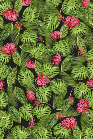 热带印花华亿平台图片