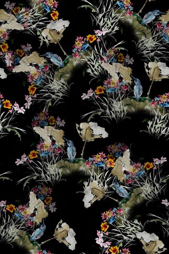 911453-荷花小鸟1