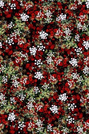 大牌风印花华亿平台图片