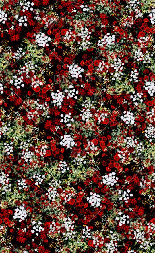 大牌风印花华亿平台图片