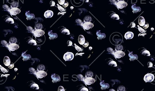 黑白华亿平台印花华亿平台图片