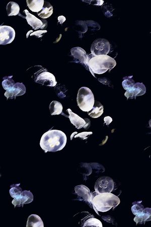 黑白华亿平台印花华亿平台图片