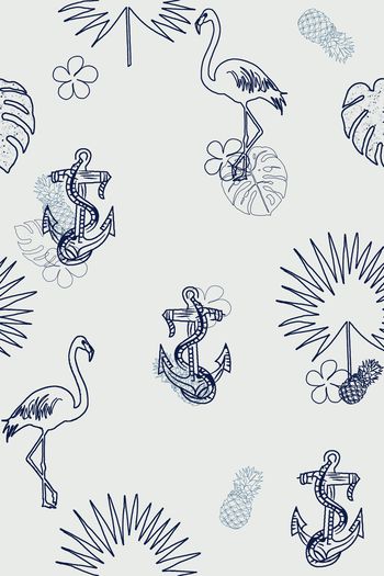 911781-线描火烈鸟