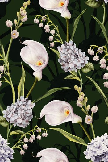 911882-20170807 2 color 