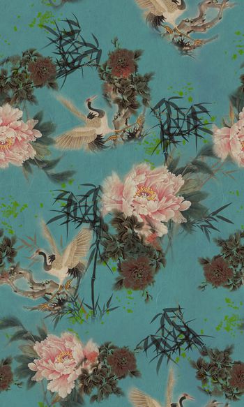 911916-tzz0116分层