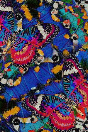 抽象印花华亿平台图片