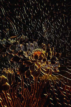 绣花华亿平台印花华亿平台图片