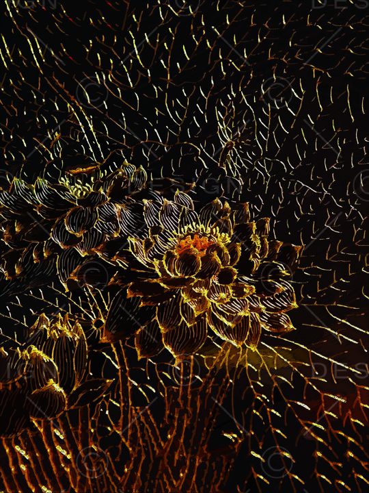 绣花华亿平台印花华亿平台图片