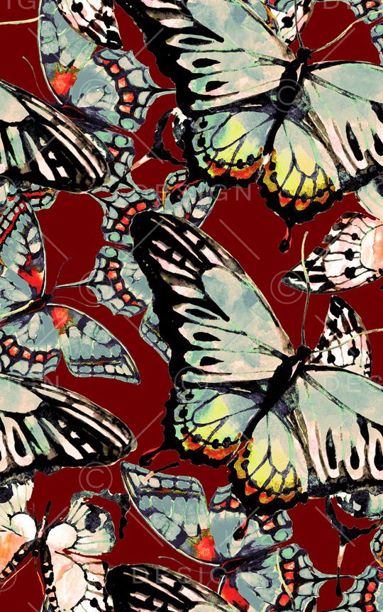 蝴蝶印花华亿平台图片