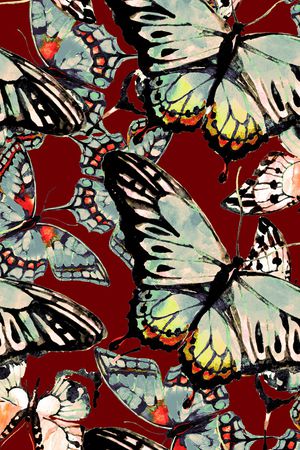 蝴蝶印花华亿平台图片