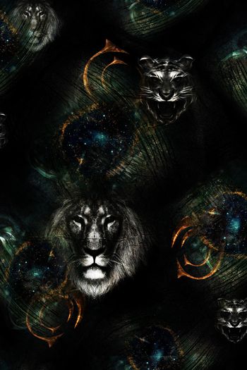 字母印花华亿平台图片