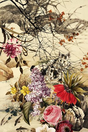 中老年印花华亿平台图片