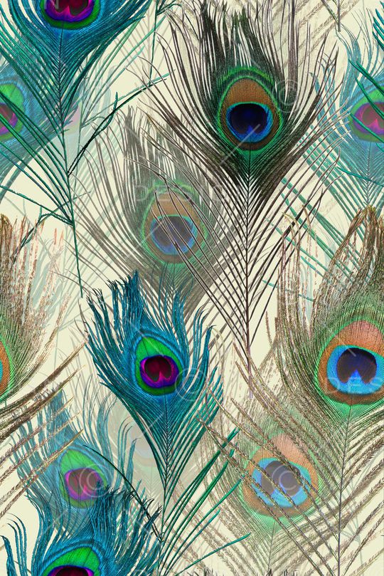 孔雀印花华亿平台图片