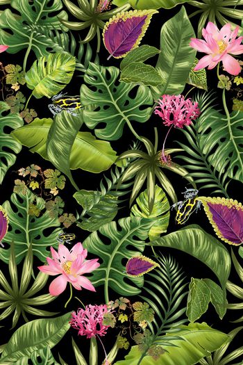 913133-220龟背竹叶子