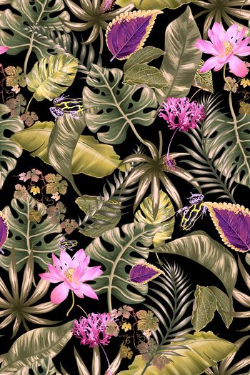 913134-220龟背竹叶子1