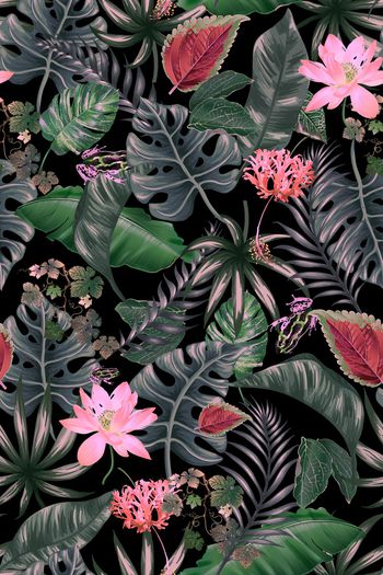 913136-220龟背竹叶子4