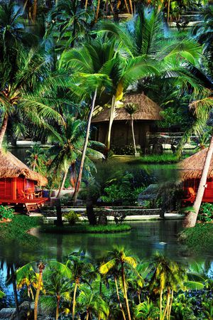 树林印花华亿平台图片