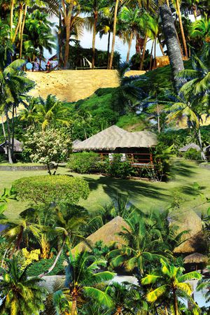 树林印花华亿平台图片