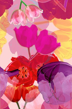 混合拼接印花华亿平台图片