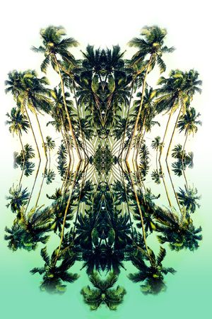 热带华亿平台印花华亿平台图片