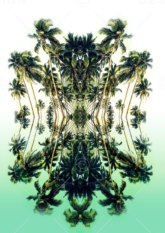 热带华亿平台印花华亿平台图片