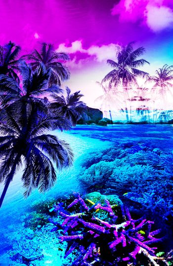 914295-椰树海底世界泳衣风景 2